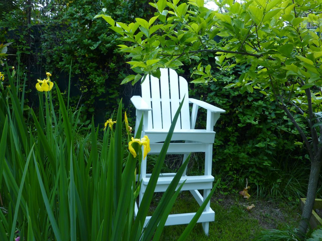 lifeguard chair