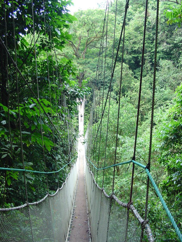 rope_bridge