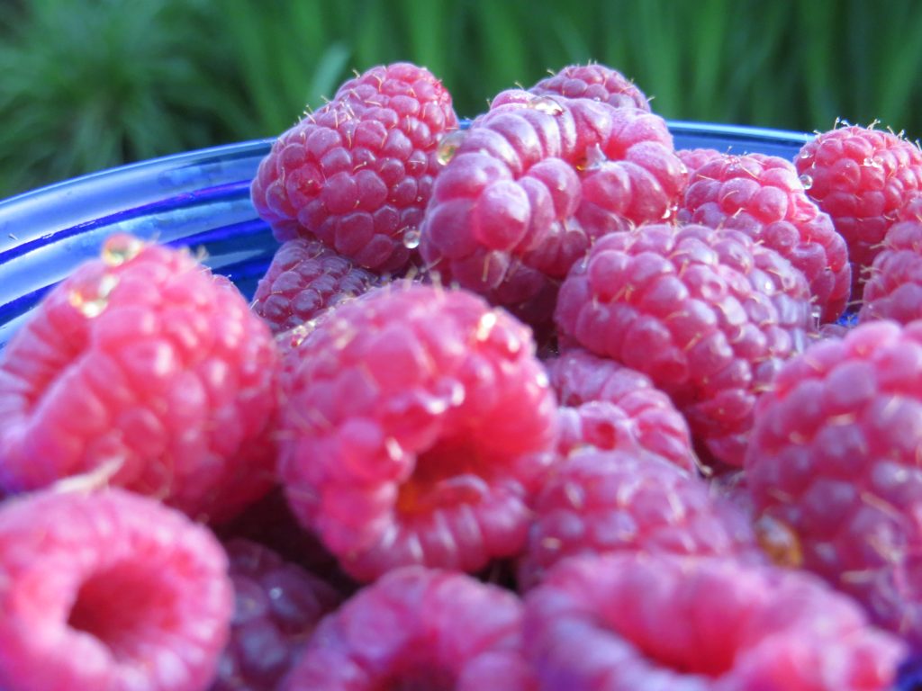 raspberries